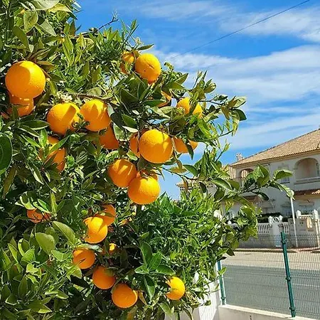 Apartment With Sea View, La Mata *