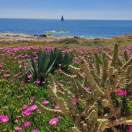 Apartamento With Sea View, La Mata *